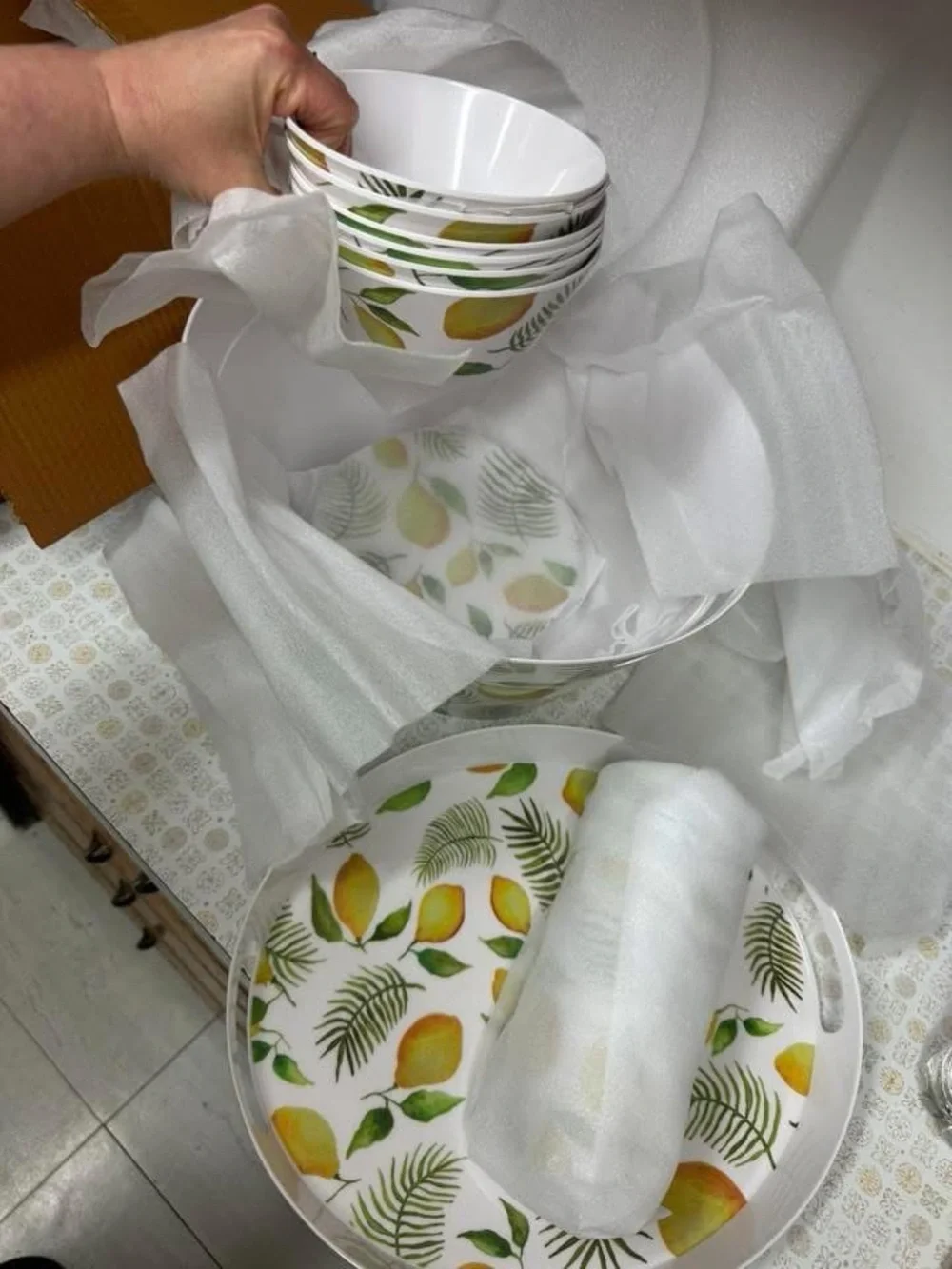 Lemon Print Salad Bowl & Dish Set in Box